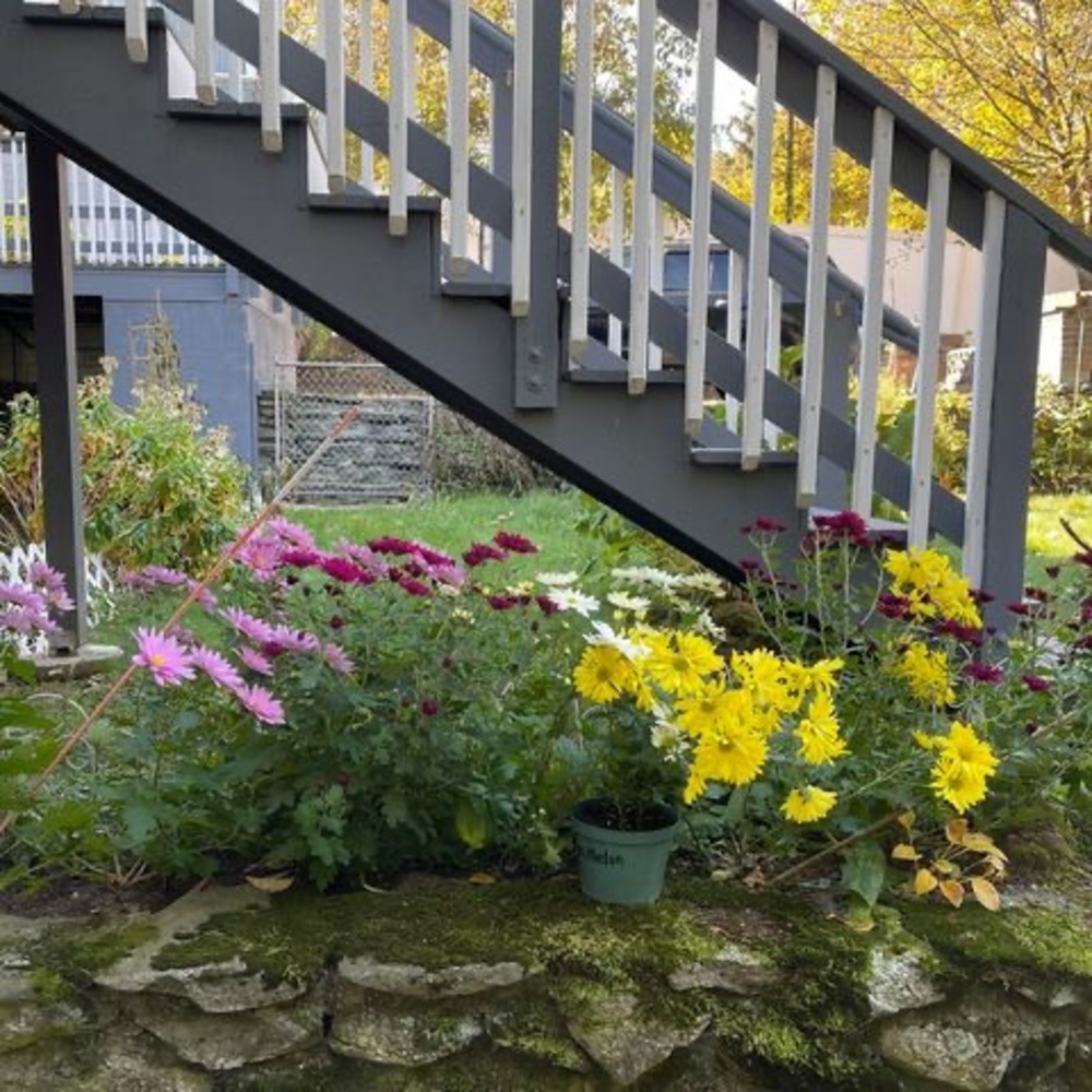 Meet your Posher, Macmac